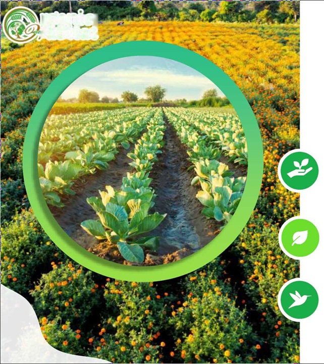 Organic Habitat integrated system overview